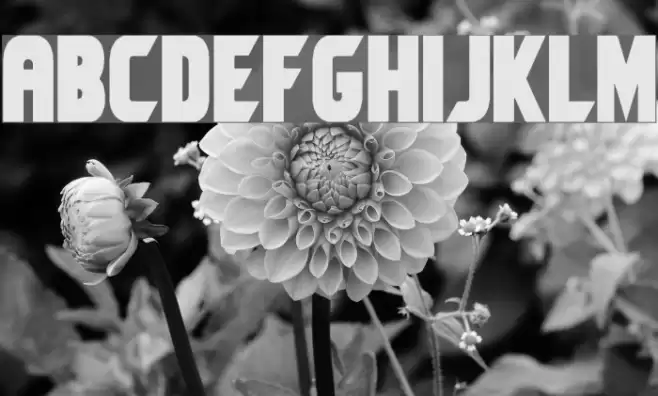 Umbro Solid Font examples