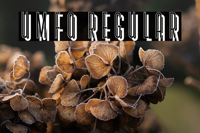 Umfo Regular Example 1