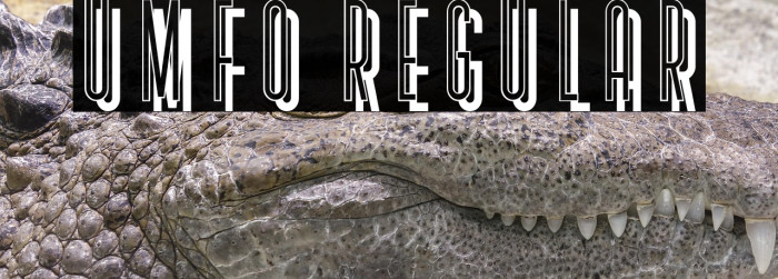 Umfo Regular Example 2