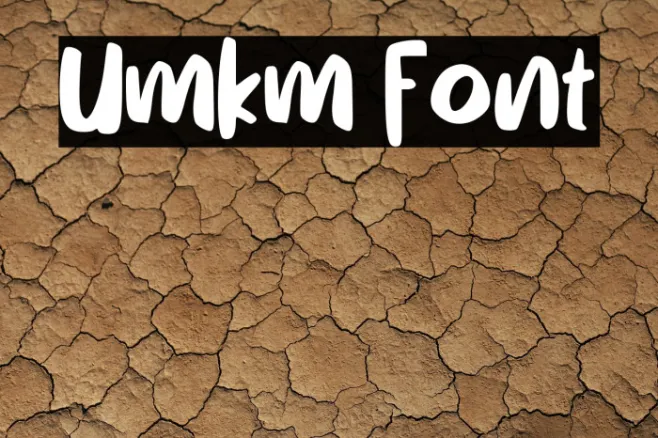 Umkm Example 1