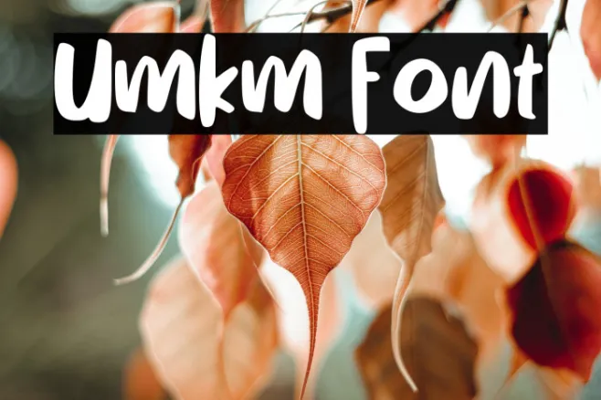Umkm Example 3