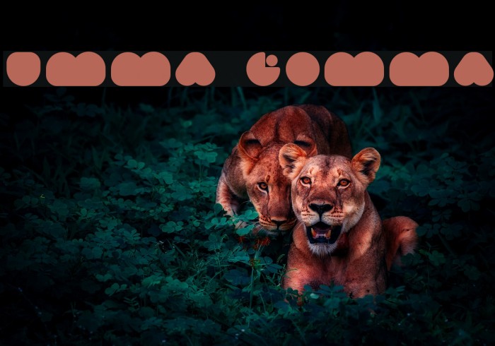 Umma Gomma Font examples
