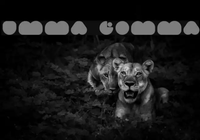 Umma Gomma Font examples