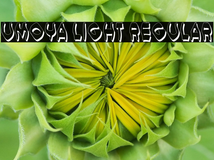 Umoya Light Regular Example 2