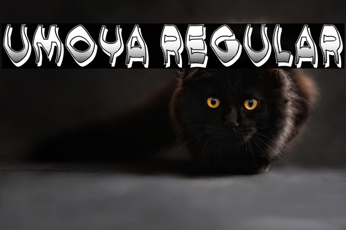 Umoya Regular Example 2