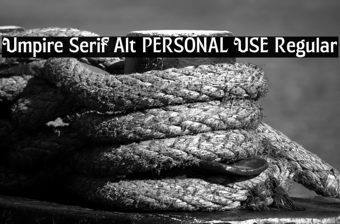 Umpire Serif Alt PERSONAL USE Regular Example 1