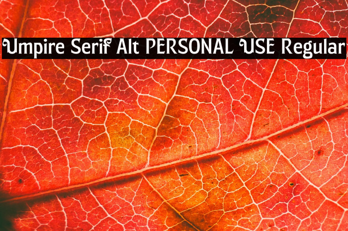 Umpire Serif Alt PERSONAL USE Regular Example 2