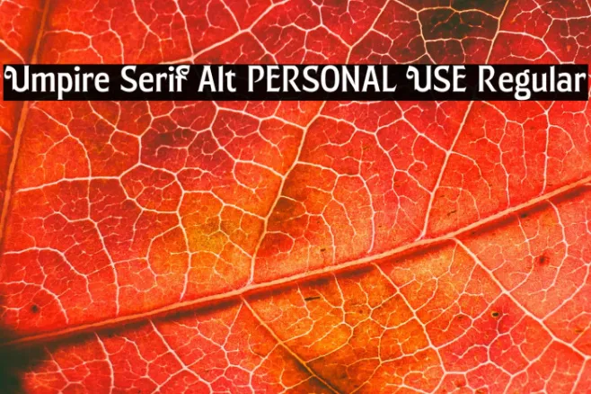 Umpire Serif Alt PERSONAL USE Regular Example 2