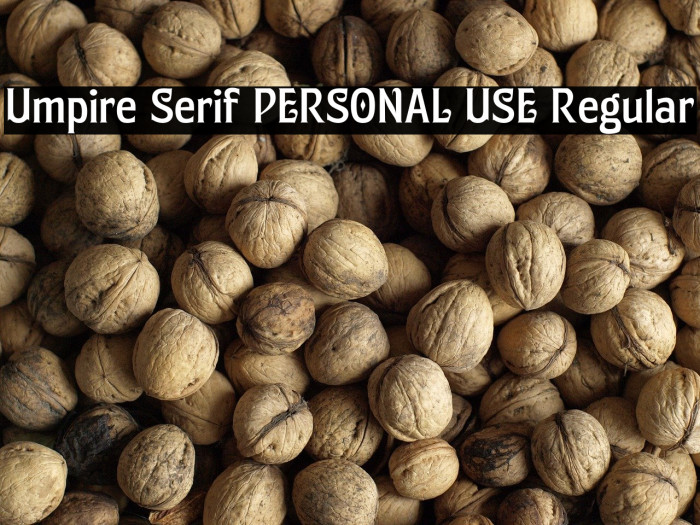 Umpire Serif PERSONAL USE Regular Example 2