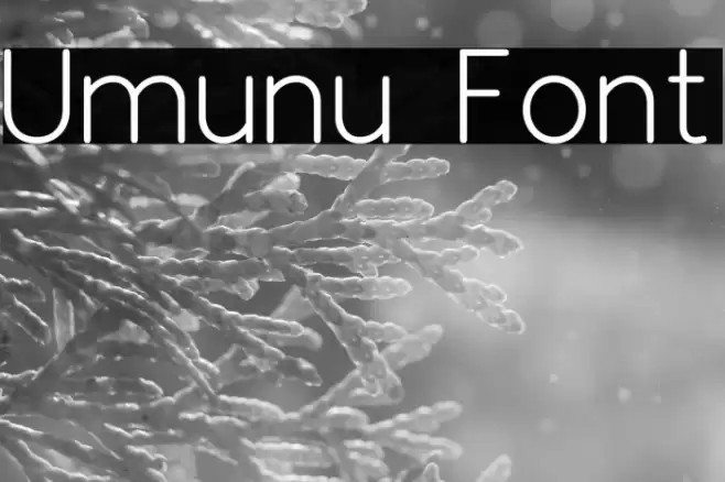Umunu Font examples