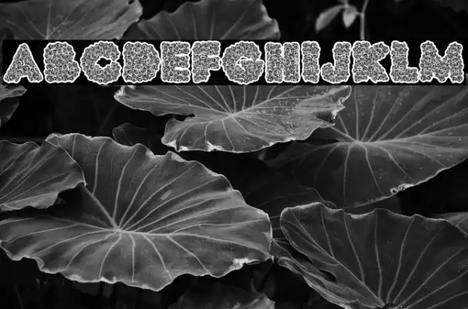 UNCLE PERSONAL USE Bold Font examples