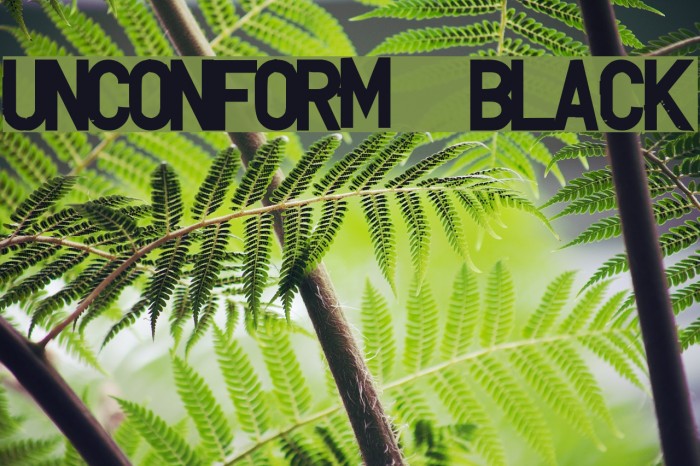 UNCONFORM  Black Example 3