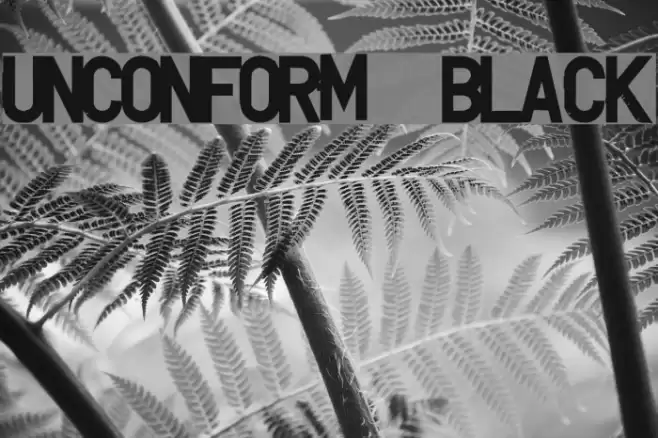 UNCONFORM  Black Font examples