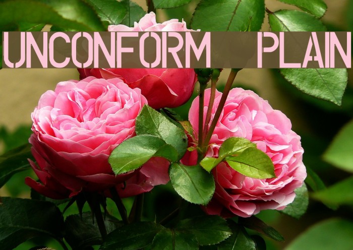 UNCONFORM plain Font examples