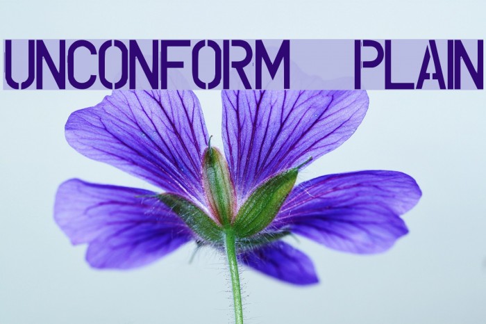 UNCONFORM plain Font examples