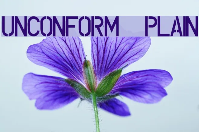 UNCONFORM  plain Example 3