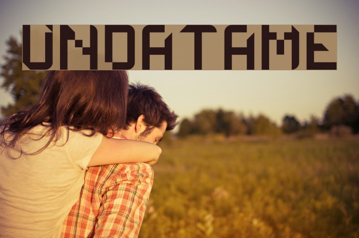 UNDATAME Font examples