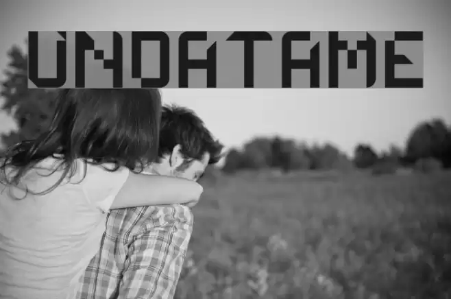 UNDATAME フォント examples