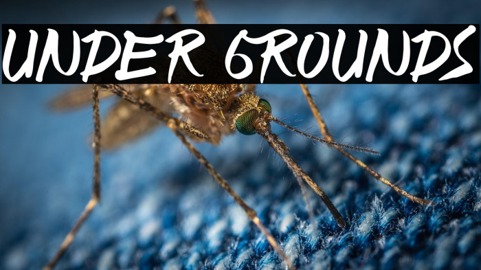 UNDER GROUNDS Example 3