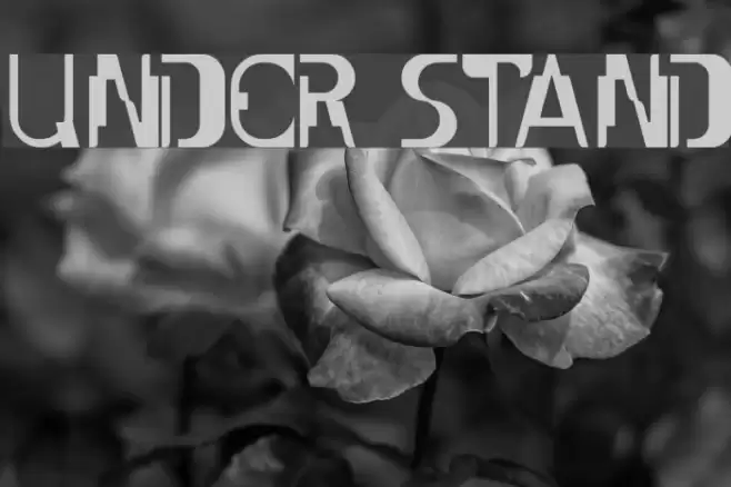 UNDER STAND Font examples