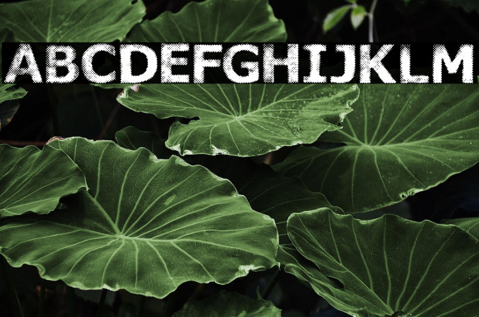 UNDERTOWN PERSONAL USE Regular Example 2