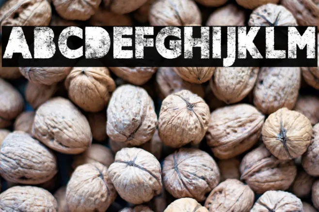 UNDERWAY PERSONAL USE Bold Example 1