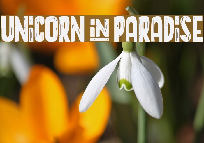 UNICORN+PARADISE Example 1