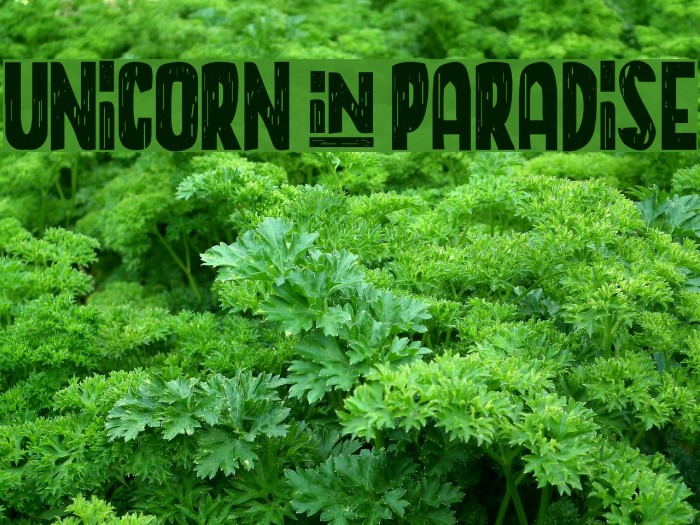 UNICORN+PARADISE Example 2