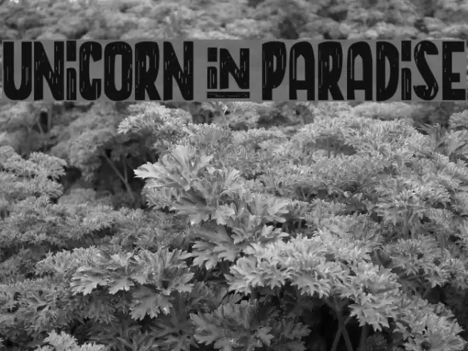 UNICORN+PARADISE Font examples