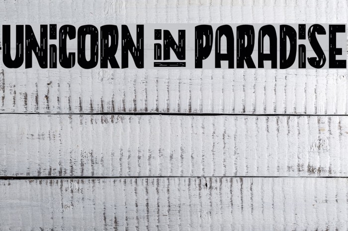 UNICORN+PARADISE Example 3