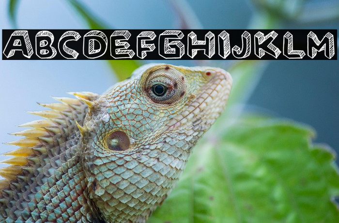 UNICORN SCHOOL Example 1