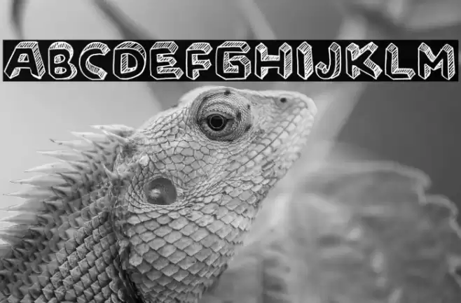 UNICORN SCHOOL Font examples