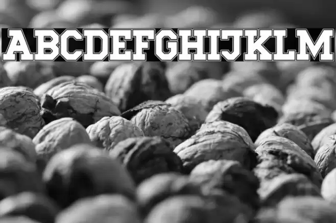 UNINorth Font examples