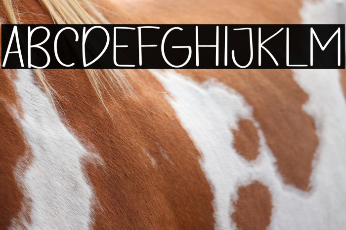 UNIQUE  VINTAGE Example 2