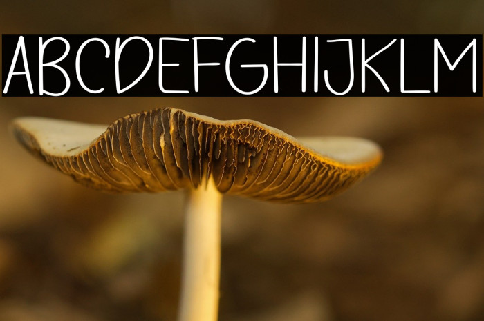 UNIQUE  VINTAGE Example 3