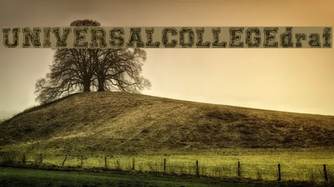 UNIVERSAL-COLLEGE-draft Example 1