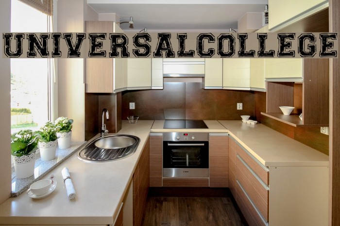 UNIVERSAL-COLLEGE Font examples