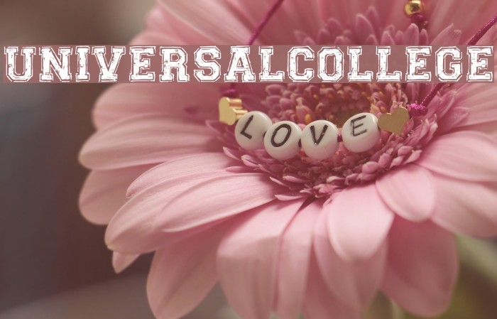 UNIVERSAL-COLLEGE Font examples