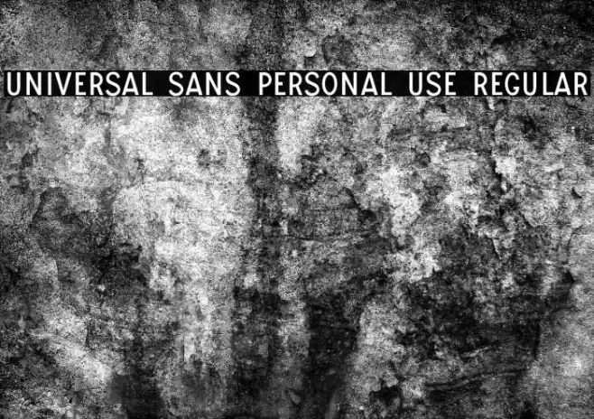 UNIVERSAL SANS PERSONAL USE Regular Fuentes examples