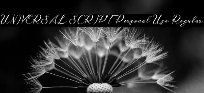 UNIVERSAL SCRIPT Personal Use Regular Шрифта examples