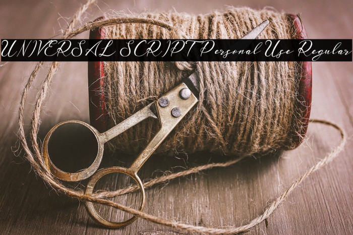 UNIVERSAL SCRIPT Personal Use Regular Font examples