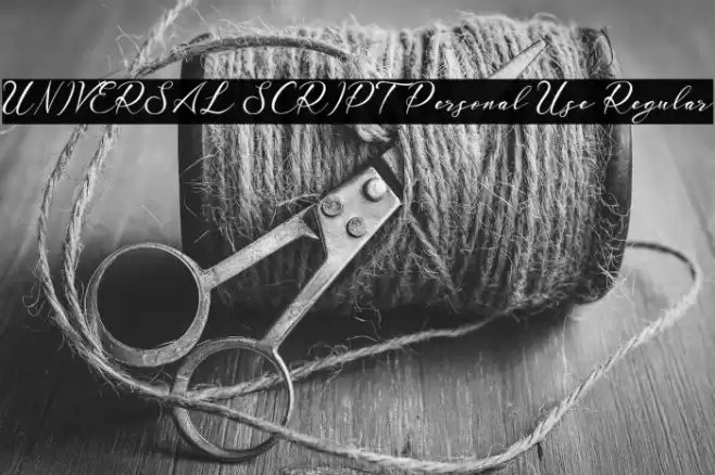 UNIVERSAL SCRIPT Personal Use Regular Шрифта examples