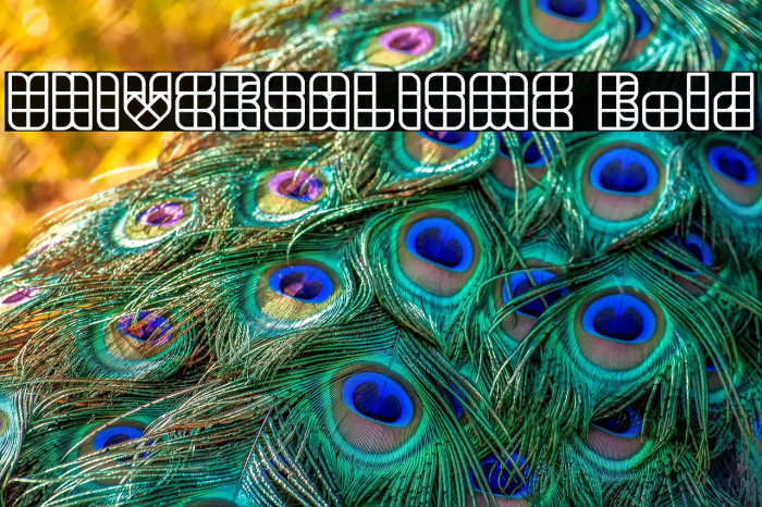 UNIVERSALISME Bold Example 2