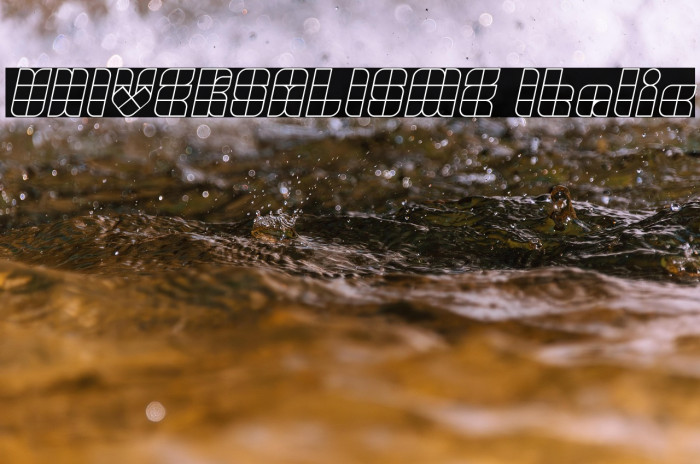 UNIVERSALISME Italic Example 3