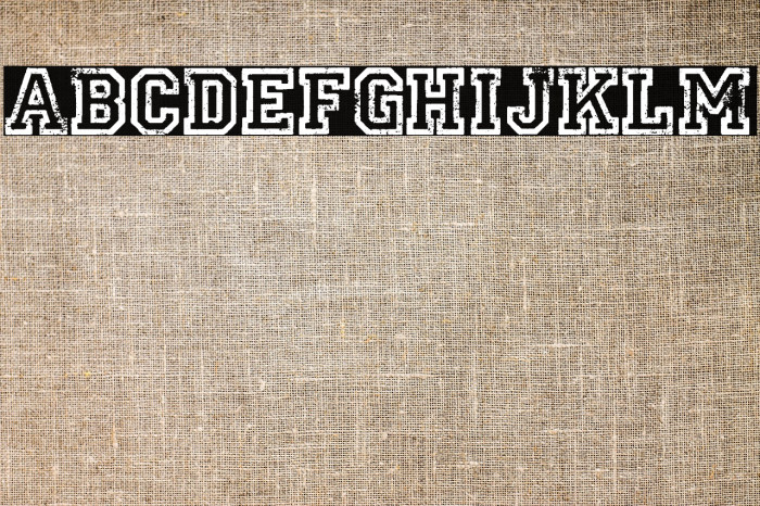 UNIVERSIDAD PERSONAL USE Bold Example 1