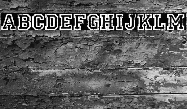 UNIVERSIDAD PERSONAL USE Bold Шрифта examples