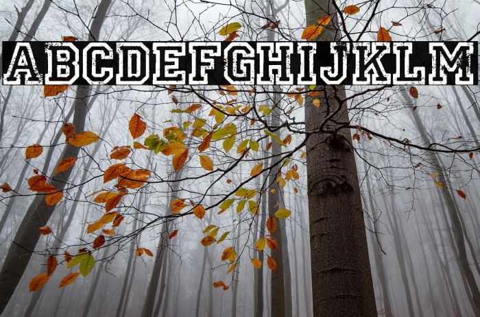 UNIVERSIDAD PERSONAL USE Bold Example 3