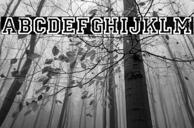 UNIVERSIDAD PERSONAL USE Bold Шрифта examples