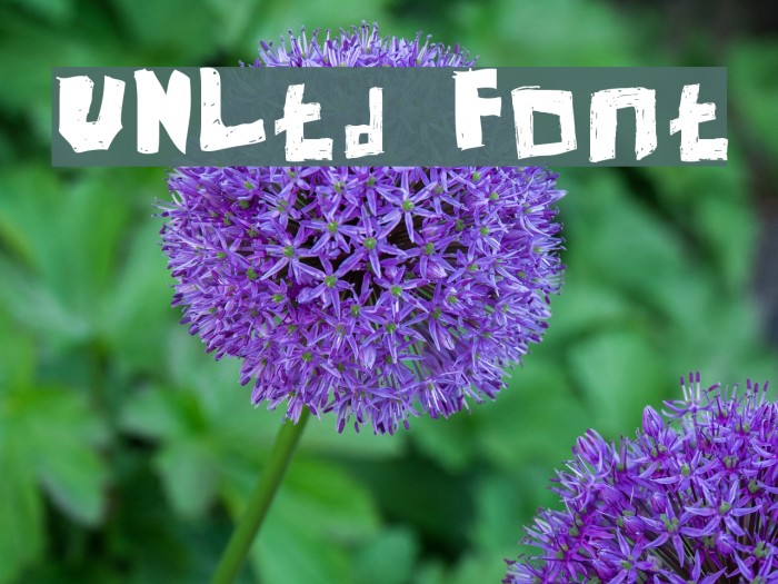 UNLtd Font examples