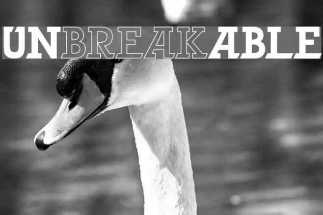 UNbreakABLE Font examples